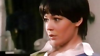 Sexy Babes Get Fucked in a Wild Orgy - Hot Retro Porn