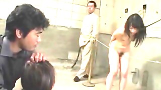 Big booty Japanese gals fucked BDSM style