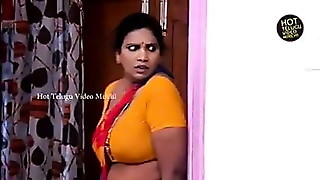 Mallu servant aunty